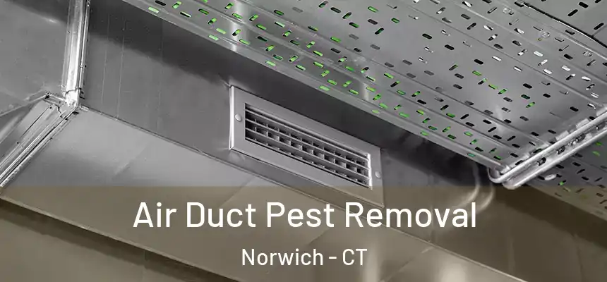 Air Duct Pest Removal Norwich - CT
