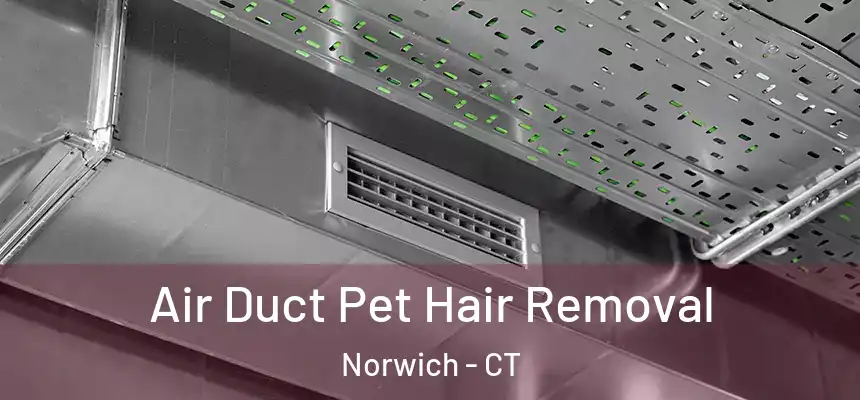  Air Duct Pet Hair Removal Norwich - CT