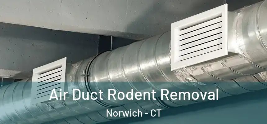  Air Duct Rodent Removal Norwich - CT