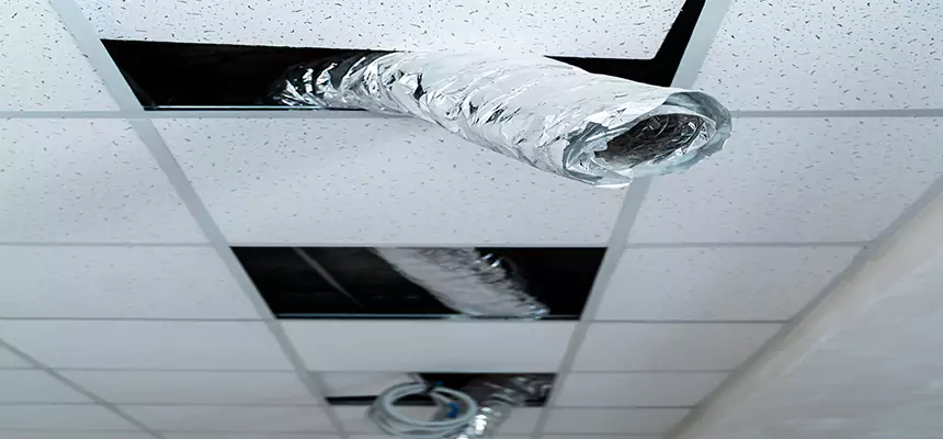 Affordable HVAC Sanitizing After Pest Removal in Norwich