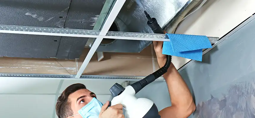 Our Air Duct Rodent Removal Services in Norwich, CT