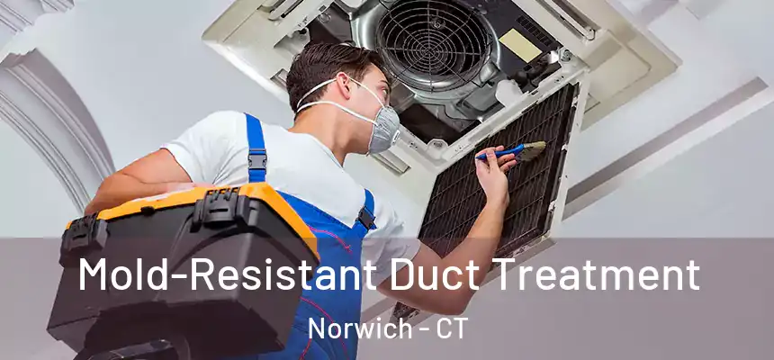  Mold-Resistant Duct Treatment Norwich - CT