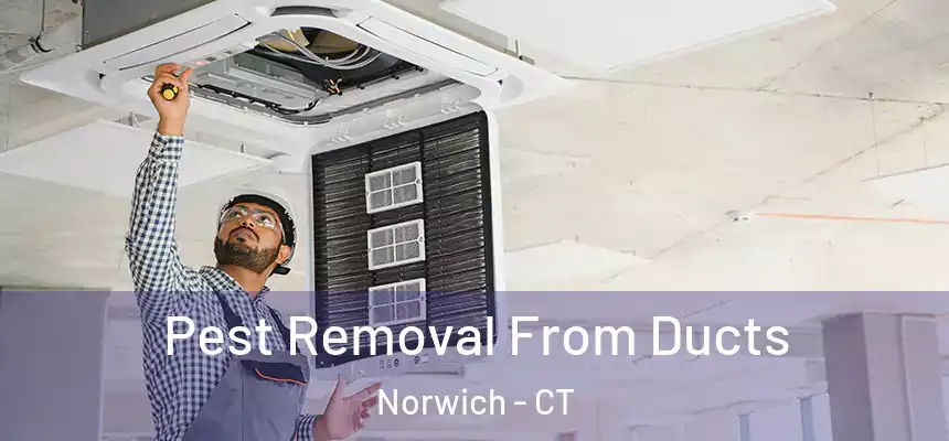  Pest Removal From Ducts Norwich - CT