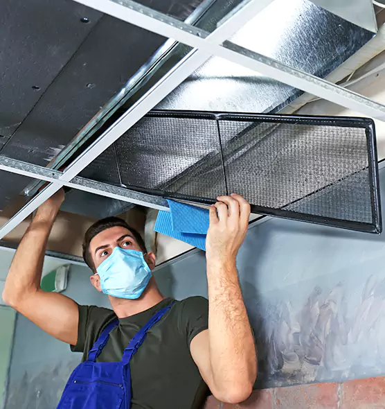 About Air Duct Bacteria Removal in Norwich